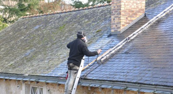 Nettoyage & Démoussage des toits & Façades